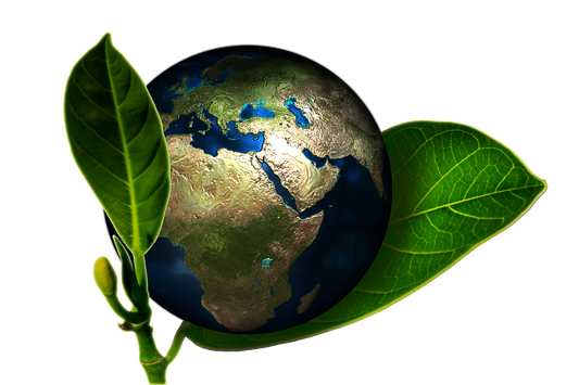 Sustainability Trends For Amazon Sellers