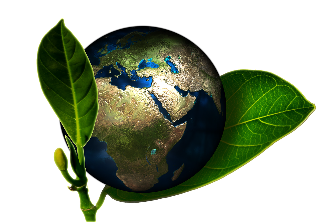 Sustainability Trends For Amazon Sellers