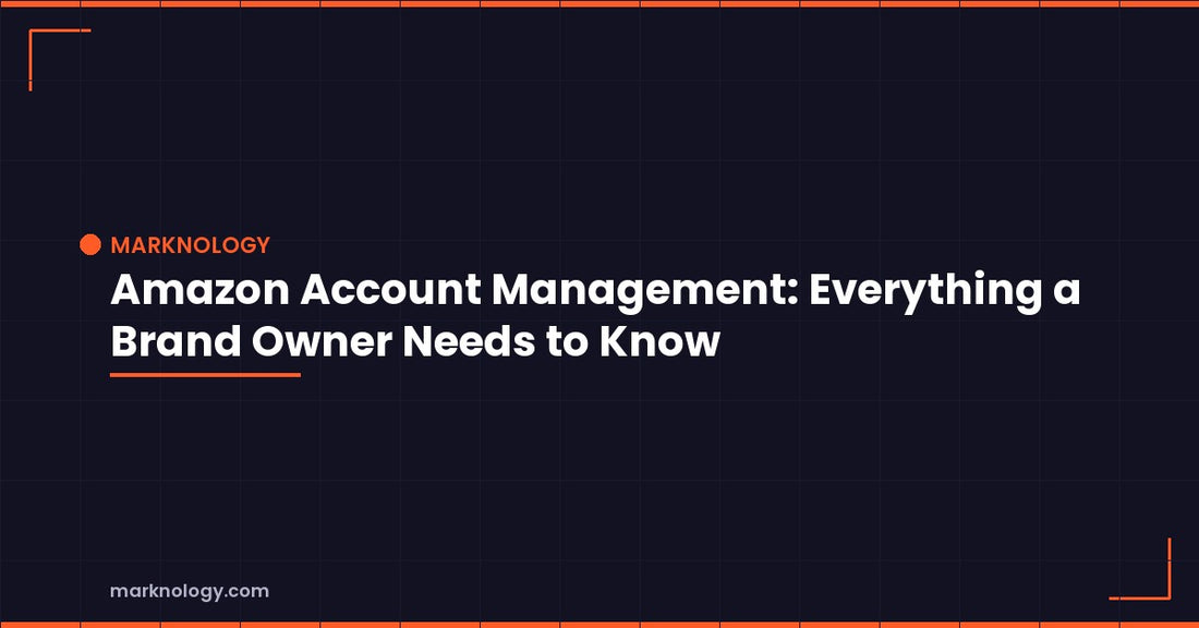Amazon Account Management: Everything a Brand Owner Needs to Know